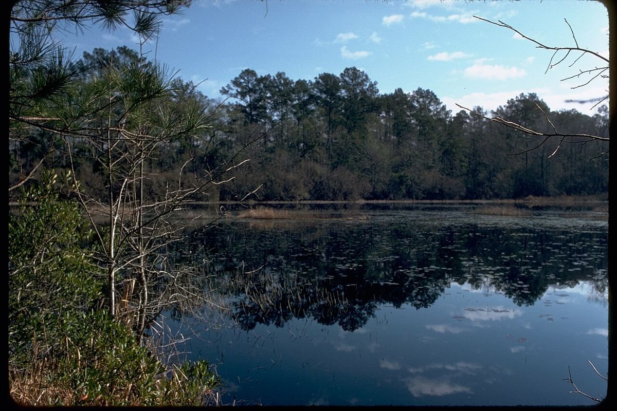 Big Thicket