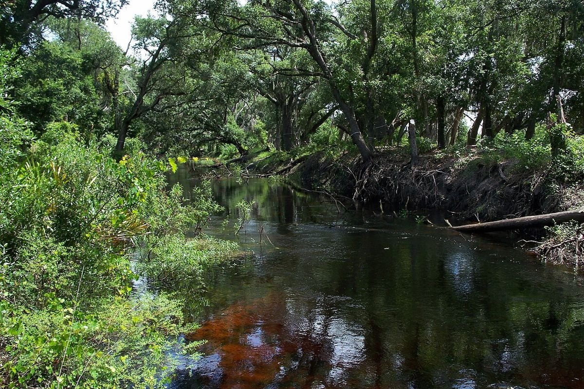 Fouke and Boggy Creek